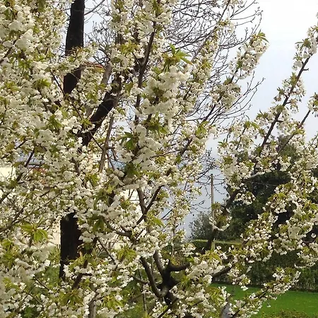 דירה Rubino Con Giardino E Jacuzzi Vista *