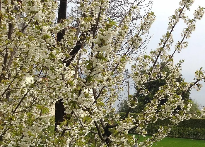 公寓 Rubino Con Giardino E Jacuzzi Vista *