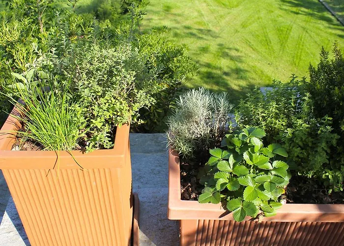 Lejlighed Rubino Con Giardino E Jacuzzi Vista Stresa