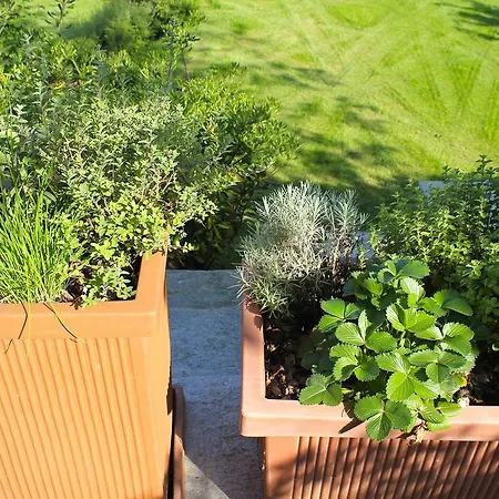 Appartement Rubino Con Giardino E Jacuzzi Vista Stresa